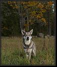 24 Hoest-Herbst-Autumn 07 * 2442 x 2861 * (3.96MB)